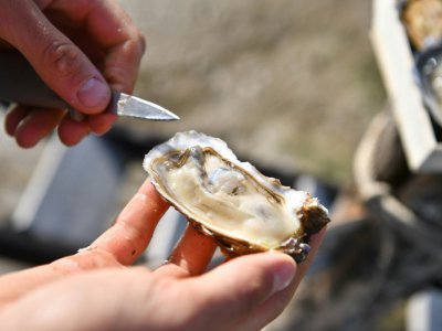 La société So'ooh est capable de produire plus d'une tonne d'huîtres parfumées par jour - XAVIER LEOTY [AFP/Archives]