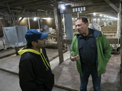 Izzy Yanay, directeur de Hudson Valley Foie Gras, parle avec ses employés à Hudson Valley Duck Farm à Ferndale, New York, le 15 décembre 2017 - DON EMMERT [AFP]