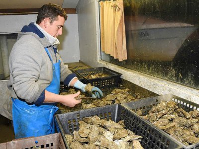 Didier Dubos ne "voit pas l'intérêt d'avoir des huîtres triploïdes, un produit modifié, alors qu'on a un produit naturel" - MEHDI FEDOUACH [AFP]