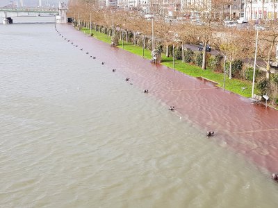 La Seine s'invite sur les quais rive droite. - Aurélien Delavaud