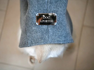 Un chien porte un habit de l'atelier "Temellini Dog A Porter" qui crée des vêtements assortis à ceux conçus pour les femmes, le 5 décembre 2017 à Milan, en Italie - MARCO BERTORELLO [AFP/Archives]
