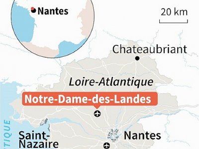 Aéroport de Nantes : 2 options - Sophie RAMIS [AFP]