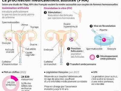 La procréation médicalement assistée (PMA) - Paz PIZARRO [AFP]