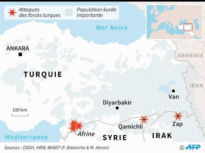 Offensives turques - Gillian HANDYSIDE [AFP]