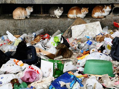 Des déchets amoncelés devant une barre de la cité des Kalliste, dans le nord de Marseille - BORIS HORVAT [AFP]