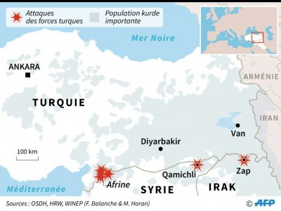 Offensives turques - Gillian HANDYSIDE [AFP/Archives]