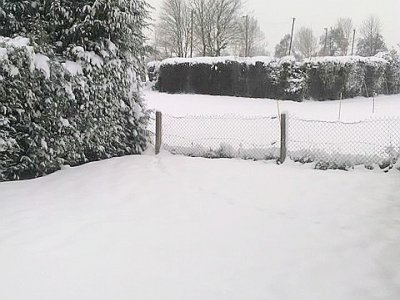 Près de 20 cm de neige sont tombés à certains endroits du Pays d'Auge. - Jenny