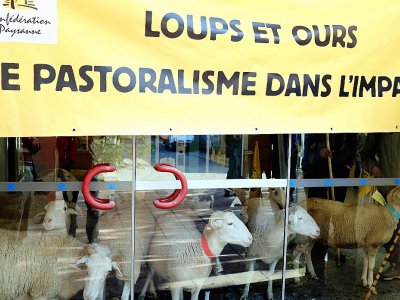 Manifestation d'éleveurs contre le plan loup le 1er décembre 2017 à Toulouse - REMY GABALDA [AFP/Archives]