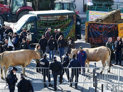 Des agriculteurs bloquent la circulation à Bordeaux le 21 février 2018 pour protester contre  le projet d'accord de libre-échange entre l'Union européenne et le Mercosur - MEHDI FEDOUACH [AFP]