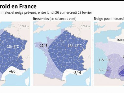 Vague de froid en France - [AFP]