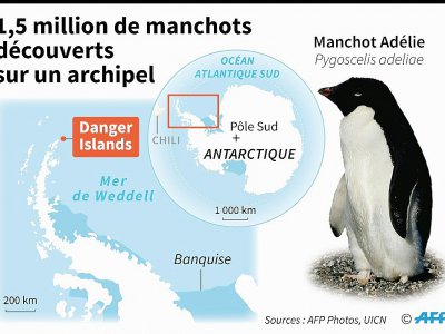 1,5 million de manchots découverts en Antarctique - Sophie RAMIS [AFP]