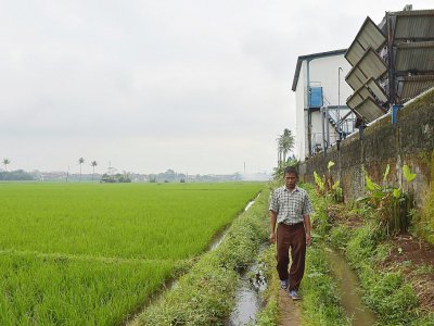 Yusuf Supriyadi marche dans ses rizières à Majalaya dans l'Ouest de l'ile de Java, le 5 février 2018 - Adek BERRY [AFP]