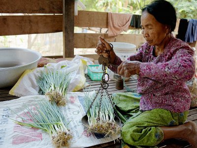 Im Chaem ancienne cadre du régime Khmer rouge vend des oignons verts devant chez elle à Anlong Veng, le 25 février 2018 - TANG CHHIN SOTHY [AFP]
