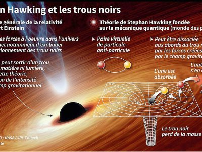 Stephen Hawking et les trous noirs - Alain BOMMENEL [AFP]