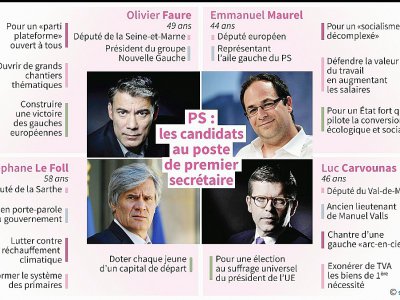 PS : les candidats au poste de 1er secrétaire - Paul DEFOSSEUX [AFP]