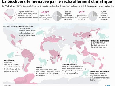 La biodiversité menacée par le réchauffement climatique - Nick Shearman [AFP]