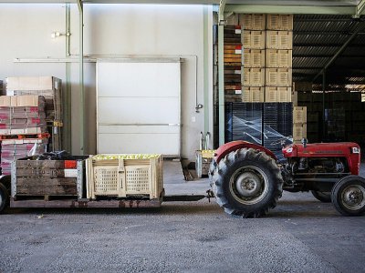 Tracteur transportant des pommes dans une ferme au nord du Cap, le 7 mars 2018 - WIKUS DE WET [AFP]