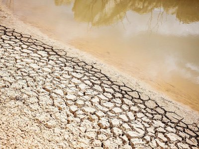 Effets de la sécheresse dans une ferme près du Cap, le 7 mars 2018 - WIKUS DE WET [AFP]