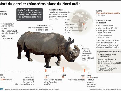 Mort du dernier rhinocéros blanc du Nord mâle - A.Leung/J.Saeki, dmk/abm/vl/pld [AFP]