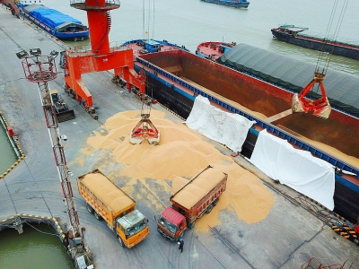Des ouvriers chargent du soja importé dans le port de Nantong (province de Jiangsu), le 4 avril 2018 - - [AFP]