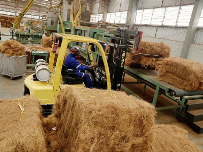 Un employé de l'usine d'eau et de lait de noix de coco de Frysk Industrial près de Conde (Brésil), le 22 mars 2018 - Lucio Tavora [AFP]
