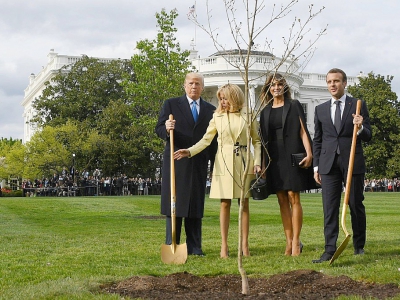 Les deux présidents ont planté dans les jardins de la Maison Blanche un chêne apporté en cadeau par le chef d'Etat français. - JIM WATSON [AFP]