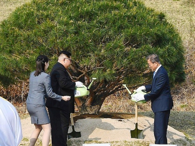 Le président sud-coréen Moon Jae-in (d) et le leader nord-coréen Kim Jong Un plantent un arbre pendant le sommet intercoréen, le 27 avril 2018 à Panmunjom - Korea Summit Press Pool [Korea Summit Press Pool/AFP]