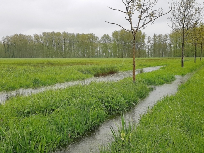 À quelques centaines de mètres de la prairie de Caen (Calvados), l'eau déborde également sur la commune de Louvigny. - Maxence Gorréguès