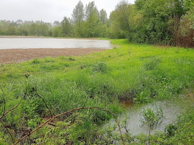 Les champs à Louvigny à l'entrée sud de Caen (Calvados) sont gorgés d'eau, lundi 30 avril 2018. - Maxence Gorréguès