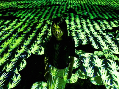 Une membre du collectif japonais teamLab au milieu d'une rizière, le 1er mai 2018 au Mori Building Digital Art Museum à Tokyo - Behrouz MEHRI [AFP]