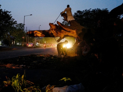 Des hommes s'affairent à découper un arbre tombé sur une route sous l'effet de la tempête, le 3 mai 2018 à Agra, dans le nord de l'Inde. - CHANDAN KHANNA [AFP]
