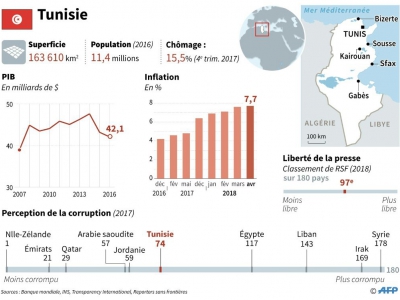 Fiche pays sur la Tunisie où se déroulent les premières élections municipales depuis la chute de Ben Ali - Omar KAMAL [AFP]