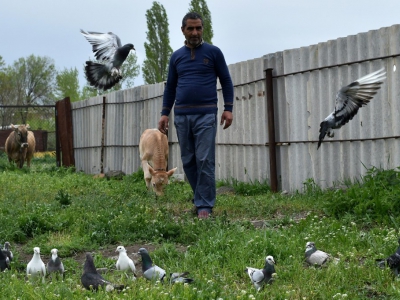 Gagik Martirosian, 55 ans, dans son jardin à Gumri, le 5 mai 2018 - Sergei GAPON [AFP]