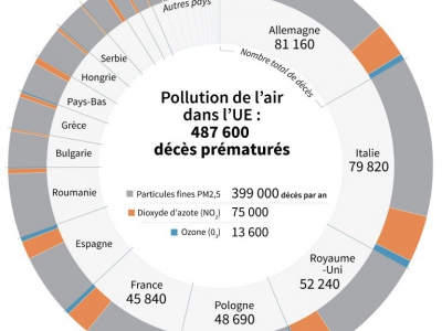 Pollution de l'air dans l'UE : 487 600 décès prématurés - Simon MALFATTO [AFP]