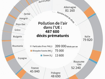 Pollution de l'air dans l'UE : 487 600 décès prématurés - Simon MALFATTO [AFP]