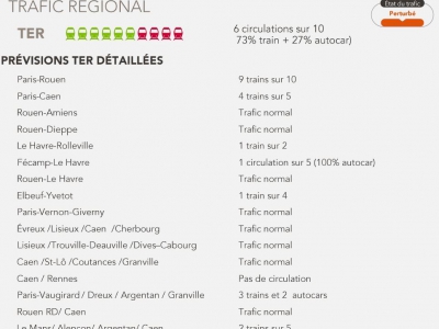 Six TER sur 10 devraient circuler samedi 2 juin. - Capture d'écran SNCF