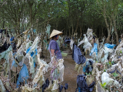 Une Vietnamienne marche dans une forêt côtière dont les arbres sont jonchés de plastique, le 18 mai 2018 à Thanh Hoa province, à 150 km au sud de Hanoï. - Nhac NGUYEN [AFP/Archives]