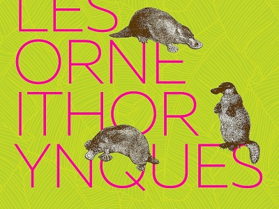 Les Orne'Ithorinques à Laleu (Orne). - Eric Mas