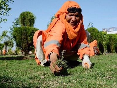 Une femme afghane nettoie et entretient un jardin public à Jalalabad en Afghanistan le 23 avril 2018 - NOORULLAH SHIRZADA [AFP]