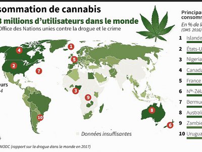 La consommation de cannabis - John SAEKI, Laurence CHU, Adrian LEUNG [AFP]