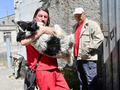 Un bénévole de la fondation américaine Clean Cultures Fund (CFF) porte un chien dans ses bras, le 8 juin 2018 près de la centrale nucléaire de Tchernobyl, en Ukraine - Sergei SUPINSKY [AFP]