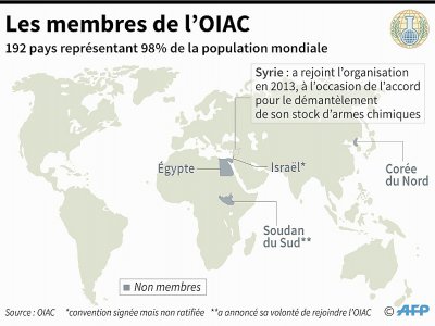 Les membres de l'OIAC - Simon MALFATTO [AFP]
