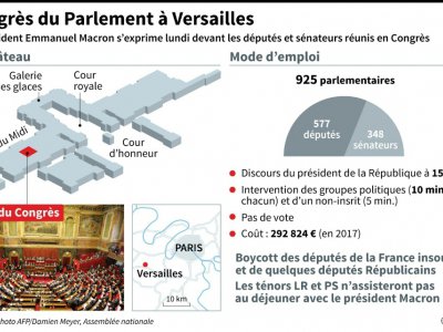 Congrès du Parlement à Versailles - Sophie RAMIS [AFP]