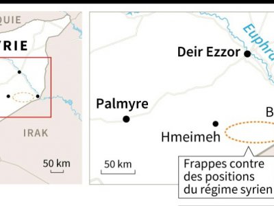 Frappes en Syrie - Gillian HANDYSIDE [AFP/Archives]