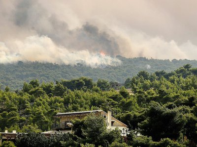 La fumée s'élève au-dessus de Kineta, près d'Athènes, en proie à un feu de forêt le 23 juillet 2018 - ANGELOS TZORTZINIS [AFP]