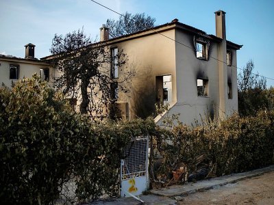 La maison familiale du réalisateur grec Theo Angelopoulos a pris feu, et avec elles les archives personnelles du cinéaste qui y étaient conservées - Angelos Tzortzinis [AFP]