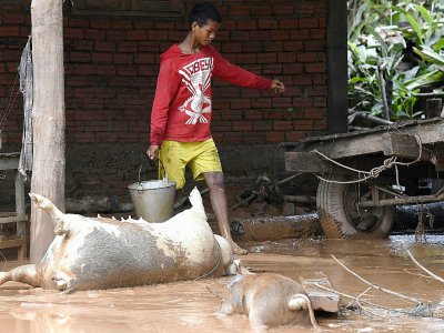 Le torrent qui s'est deversé dans le village laotien de Sanamxai a tué de nombreux animaux de ferme. - Nhac NGUYEN [AFP]