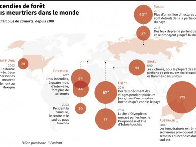 Les incendies de forêt les plus meurtriers dans le monde - Maryam EL HAMOUCHI [AFP]