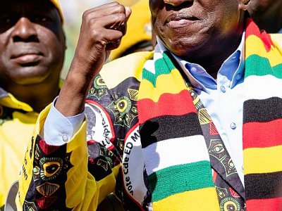 Emmerson Mnangagwa à Harare, le 28 juillet 2018 - MARCO LONGARI [AFP]