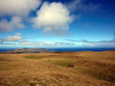 Un paysage de l'île de Pâques, le 11 août 2013 dans l'océan Pacifique - GREGORY BOISSY [AFP/Archives]